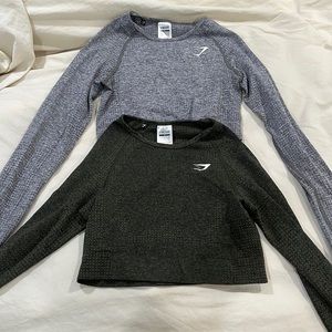 Gym shark crop tops